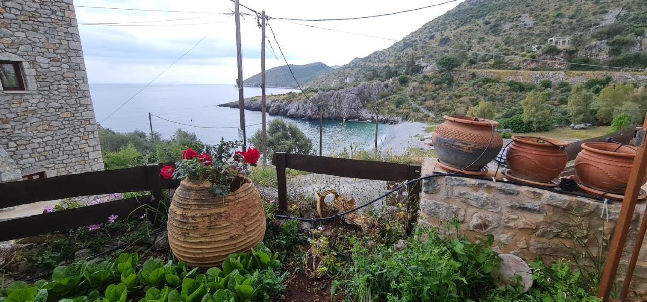 Apartament Olive Oil Mill Kokkala Zewnętrze zdjęcie